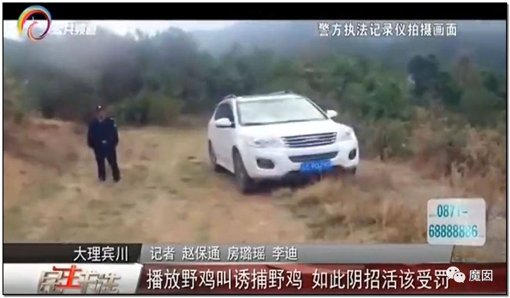 央视再次发出最强音！比贩毒更赚钱，中国某些人豁命追捧的恐怖野味市场彻底凉了！（组图） - 21
