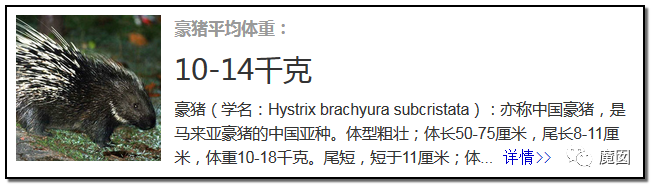 央视再次发出最强音！比贩毒更赚钱，中国某些人豁命追捧的恐怖野味市场彻底凉了！（组图） - 10