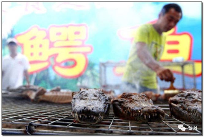 央视再次发出最强音！比贩毒更赚钱，中国某些人豁命追捧的恐怖野味市场彻底凉了！（组图） - 88