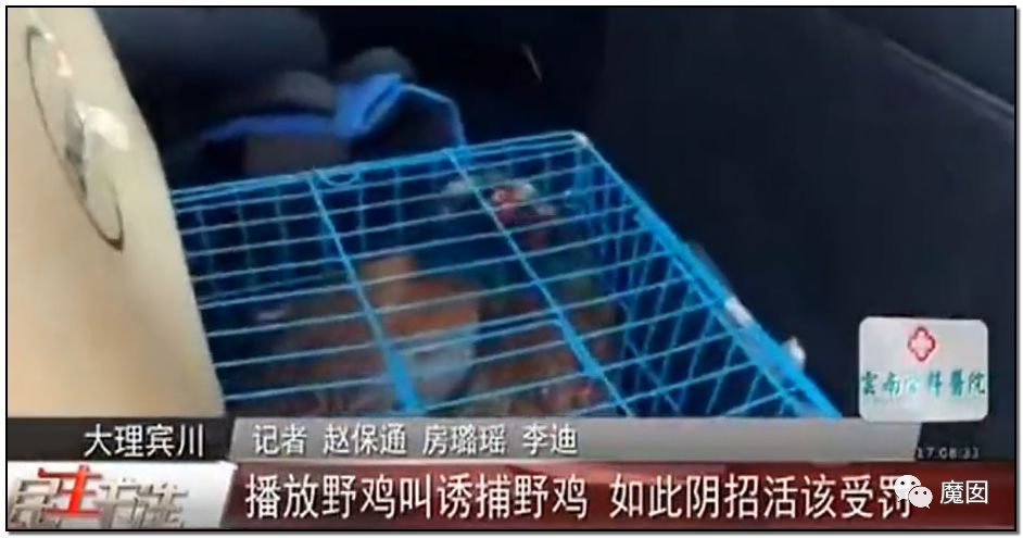 央视再次发出最强音！比贩毒更赚钱，中国某些人豁命追捧的恐怖野味市场彻底凉了！（组图） - 22