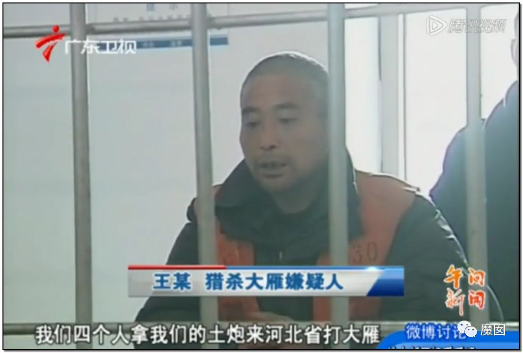 央视再次发出最强音！比贩毒更赚钱，中国某些人豁命追捧的恐怖野味市场彻底凉了！（组图） - 61