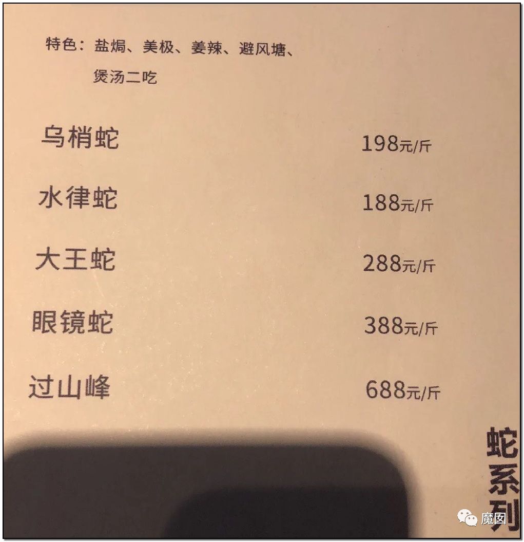 央视再次发出最强音！比贩毒更赚钱，中国某些人豁命追捧的恐怖野味市场彻底凉了！（组图） - 36