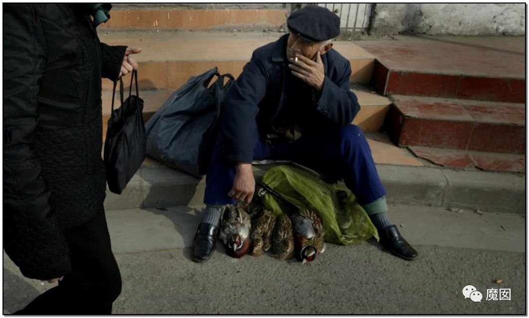 央视再次发出最强音！比贩毒更赚钱，中国某些人豁命追捧的恐怖野味市场彻底凉了！（组图） - 66