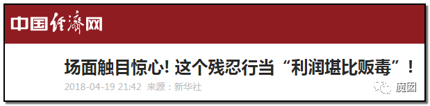 央视再次发出最强音！比贩毒更赚钱，中国某些人豁命追捧的恐怖野味市场彻底凉了！（组图） - 9