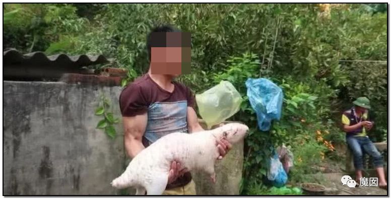 央视再次发出最强音！比贩毒更赚钱，中国某些人豁命追捧的恐怖野味市场彻底凉了！（组图） - 49