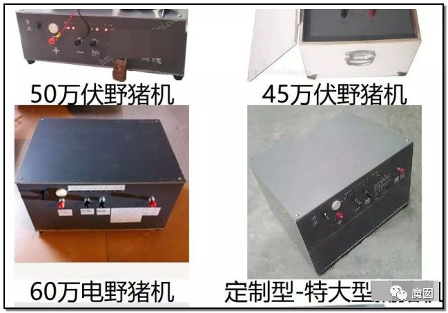央视再次发出最强音！比贩毒更赚钱，中国某些人豁命追捧的恐怖野味市场彻底凉了！（组图） - 15