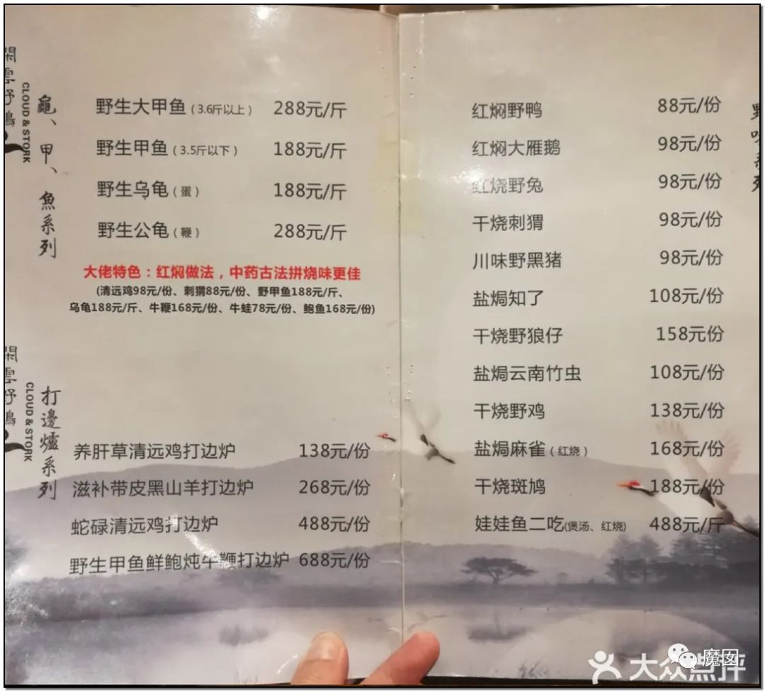央视再次发出最强音！比贩毒更赚钱，中国某些人豁命追捧的恐怖野味市场彻底凉了！（组图） - 24