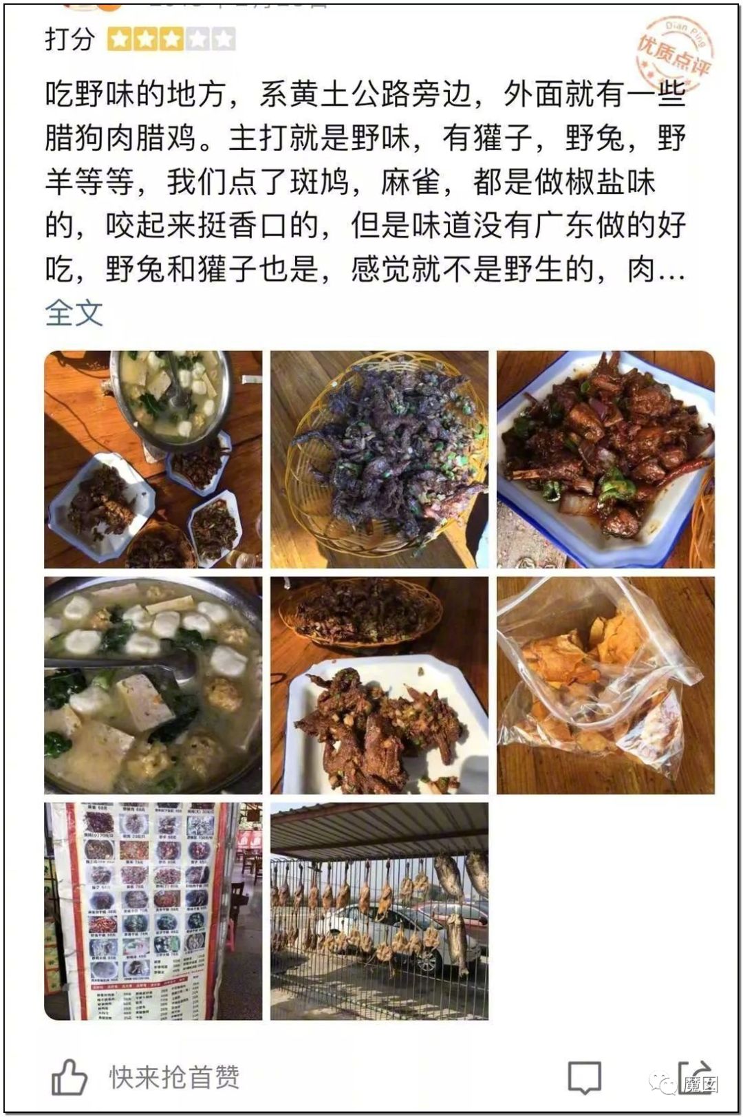 央视再次发出最强音！比贩毒更赚钱，中国某些人豁命追捧的恐怖野味市场彻底凉了！（组图） - 35