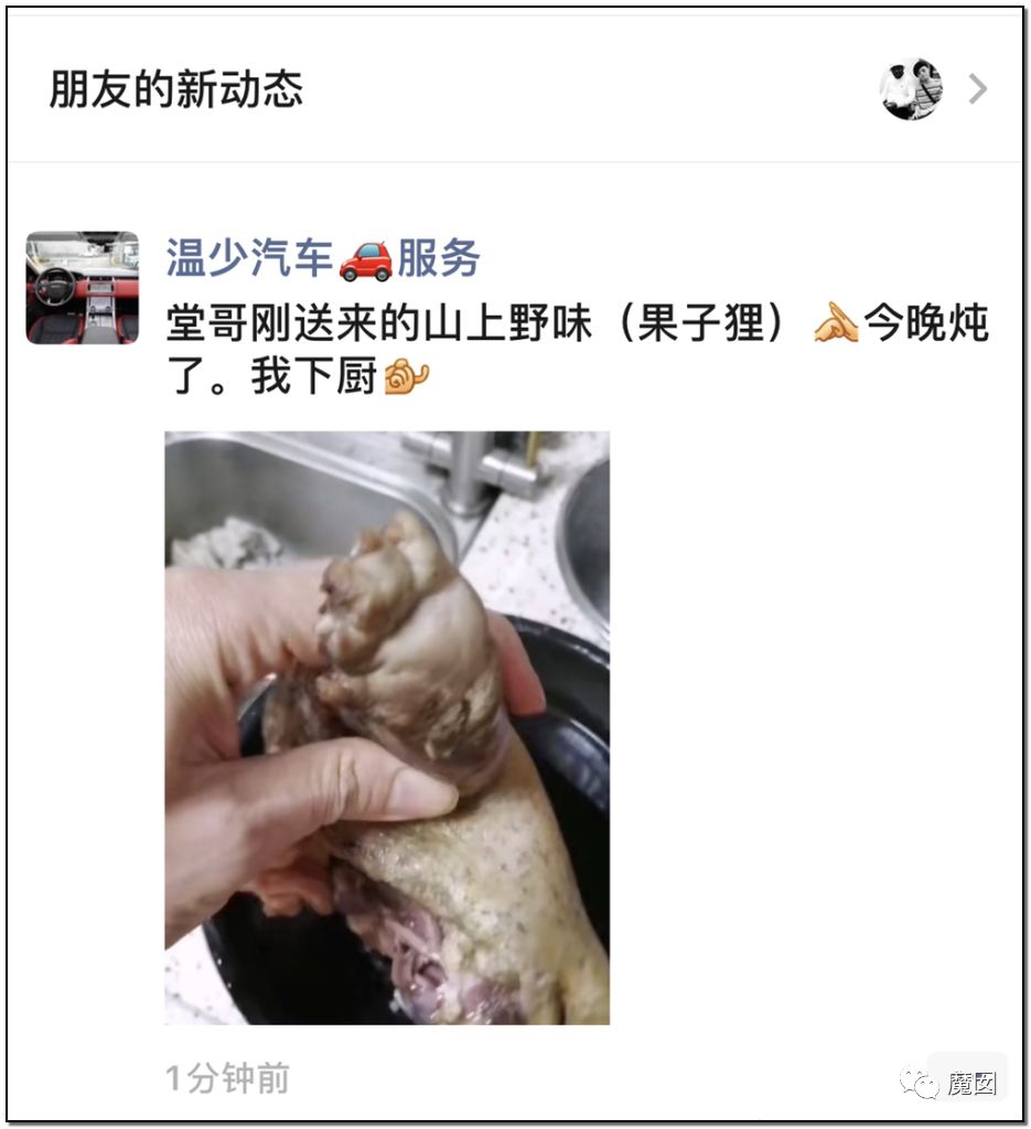 央视再次发出最强音！比贩毒更赚钱，中国某些人豁命追捧的恐怖野味市场彻底凉了！（组图） - 33