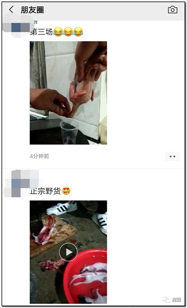 央视再次发出最强音！比贩毒更赚钱，中国某些人豁命追捧的恐怖野味市场彻底凉了！（组图） - 34