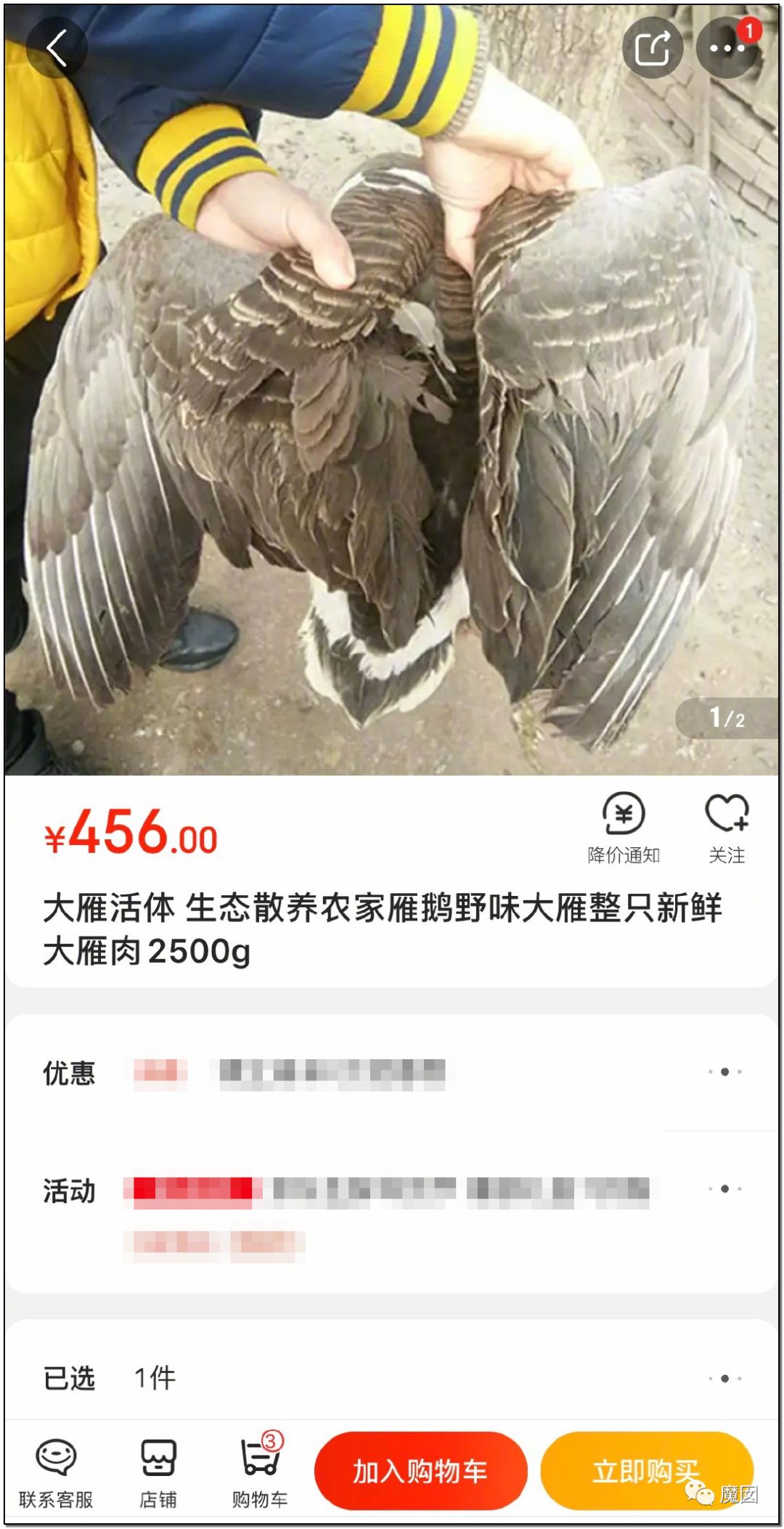 央视再次发出最强音！比贩毒更赚钱，中国某些人豁命追捧的恐怖野味市场彻底凉了！（组图） - 45