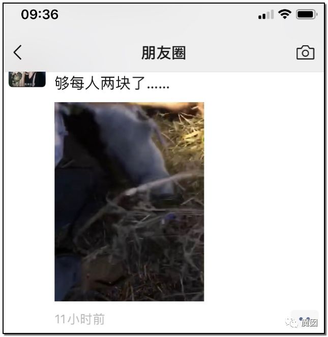 央视再次发出最强音！比贩毒更赚钱，中国某些人豁命追捧的恐怖野味市场彻底凉了！（组图） - 27