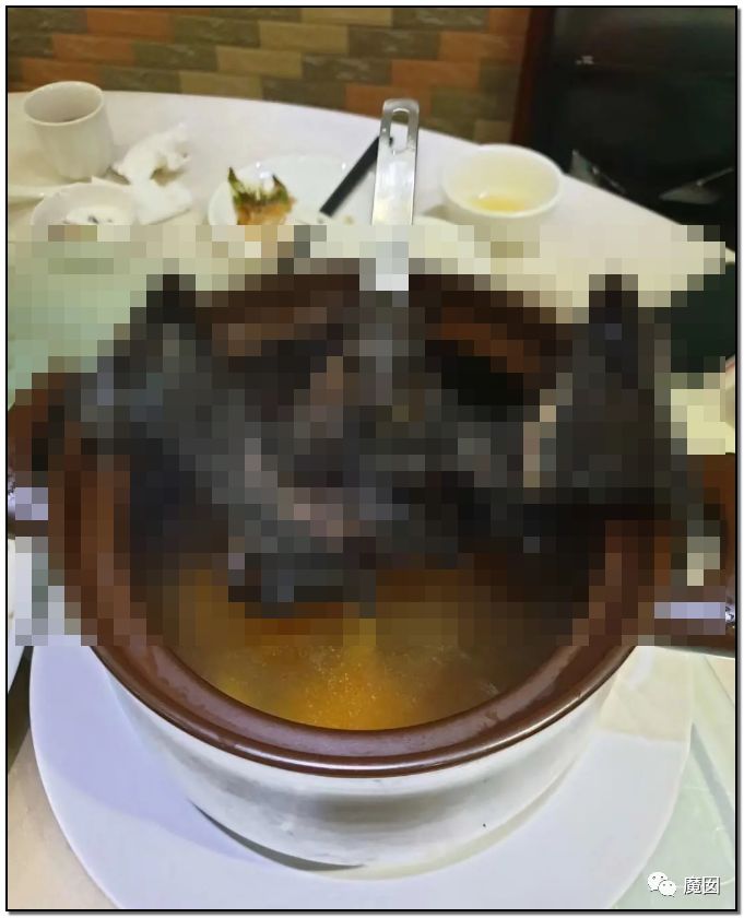 央视再次发出最强音！比贩毒更赚钱，中国某些人豁命追捧的恐怖野味市场彻底凉了！（组图） - 99