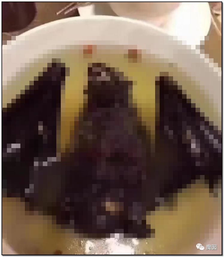 央视再次发出最强音！比贩毒更赚钱，中国某些人豁命追捧的恐怖野味市场彻底凉了！（组图） - 95