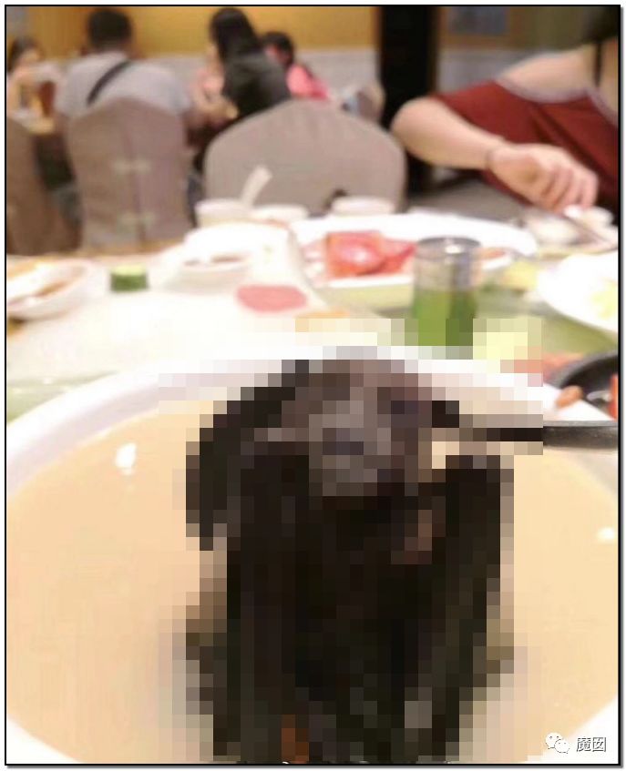 央视再次发出最强音！比贩毒更赚钱，中国某些人豁命追捧的恐怖野味市场彻底凉了！（组图） - 96