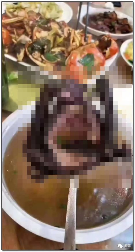 央视再次发出最强音！比贩毒更赚钱，中国某些人豁命追捧的恐怖野味市场彻底凉了！（组图） - 98