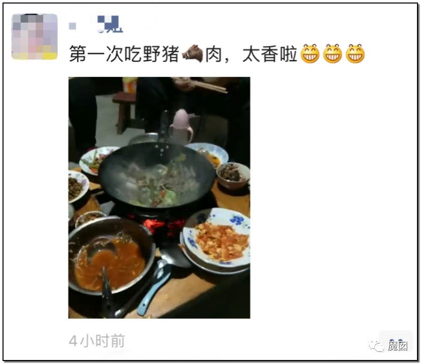 央视再次发出最强音！比贩毒更赚钱，中国某些人豁命追捧的恐怖野味市场彻底凉了！（组图） - 28