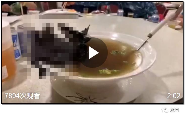 央视再次发出最强音！比贩毒更赚钱，中国某些人豁命追捧的恐怖野味市场彻底凉了！（组图） - 102