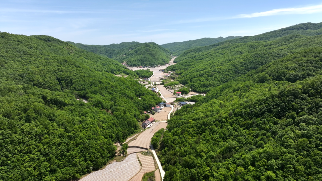 农村致富的道路(农村致富的道路是什么)