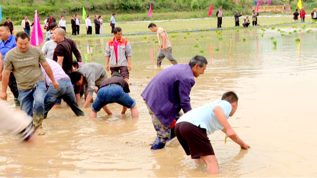 湖北兴山:村民"唱主角" 农耕文化节"乡"味浓
