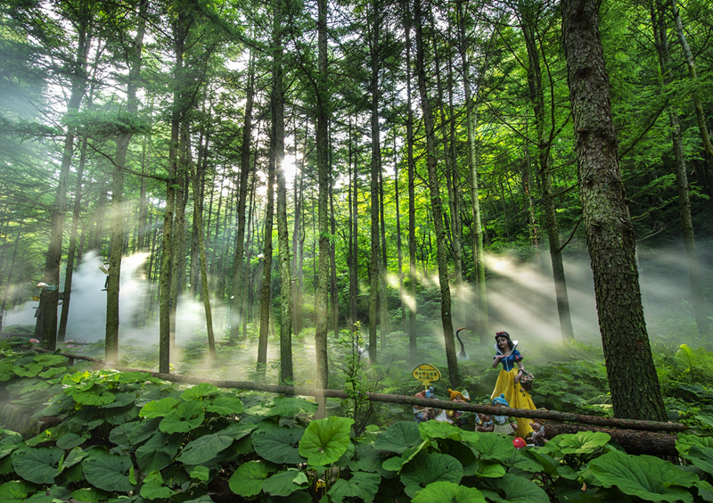 行走河南·读懂中国 | 洛阳多景区发布暑期优惠政策