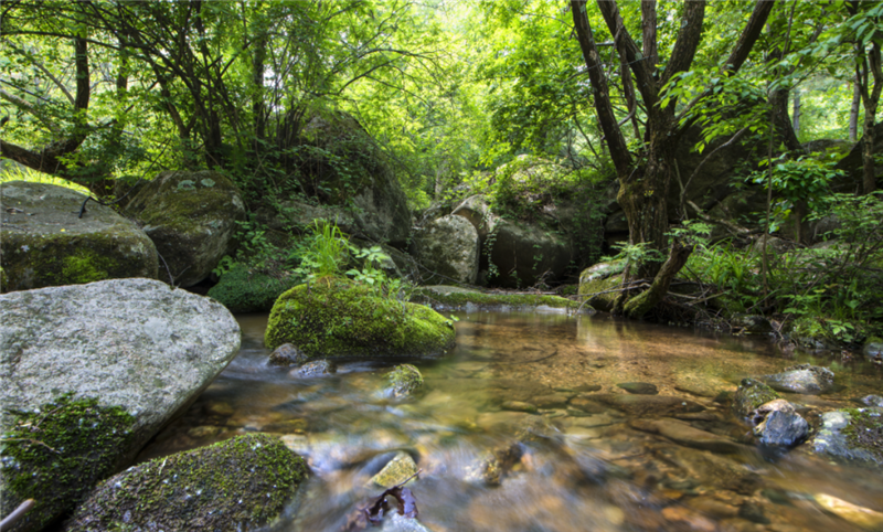 行走河南·读懂中国 | 洛阳多景区发布暑期优惠政策