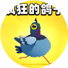 疯狂的鸽子233