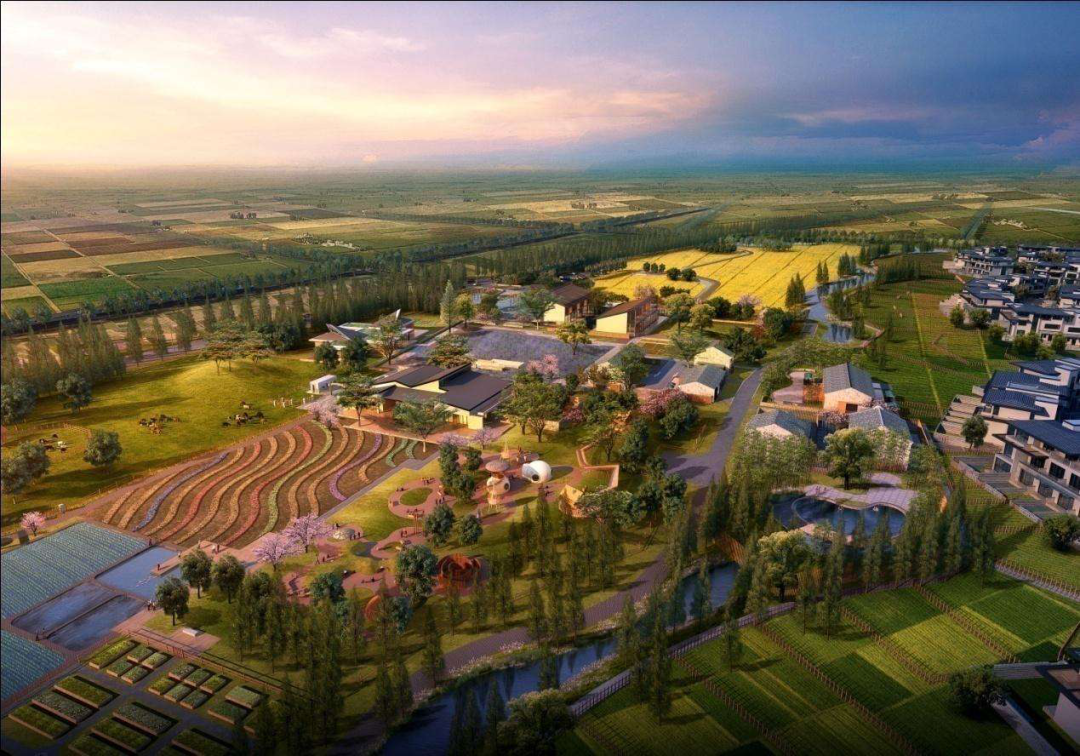 中草药种植的休闲空间与景观设计