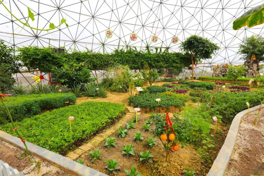 中草药种植的休闲空间与景观设计