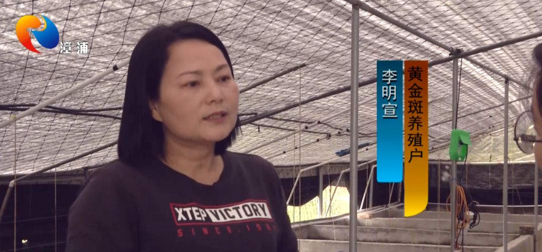 致富养娃攻略免费阅读_致富养鸭场红包版_致富经养