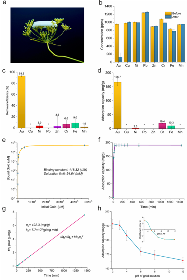 气凝胶，从电子废物中回收黄金！(图7)