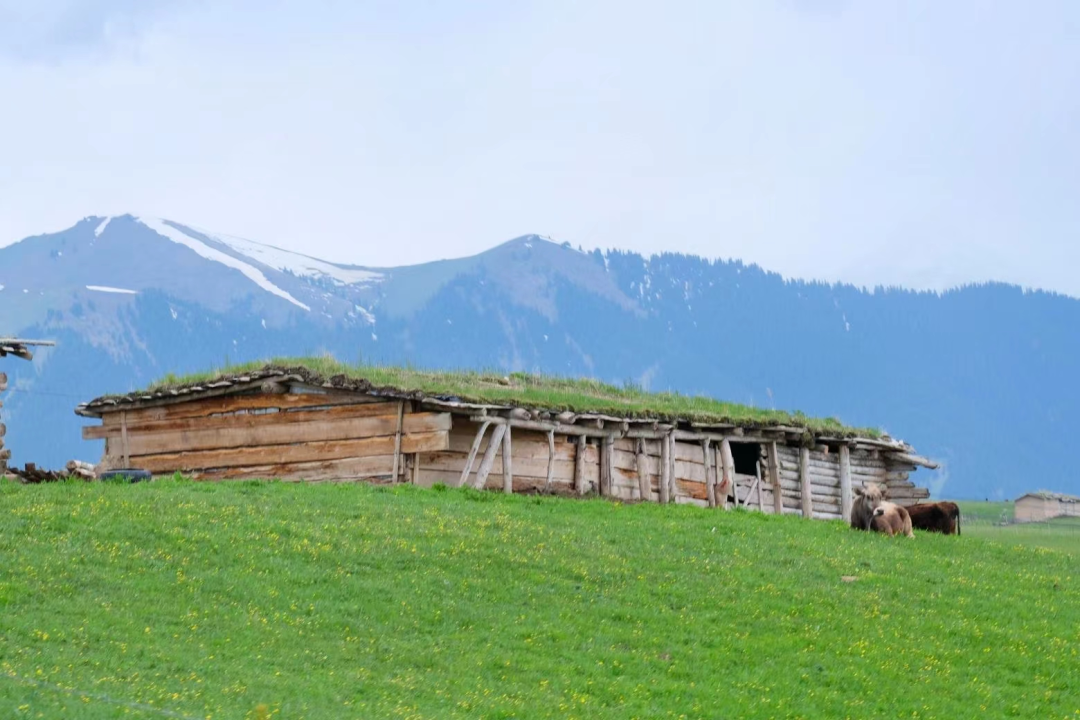 伊犁必去的十大景点 别在七八月扎堆去新疆了，五月的伊犁才是绝美！！！