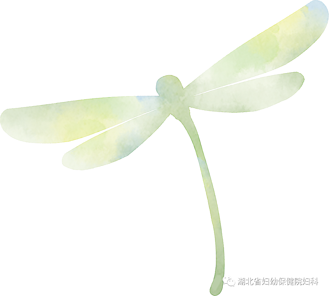 什么叫海扶刀“无创治疗”独门绝技——海扶刀_https://www.jmylbn.com_新闻资讯_第4张