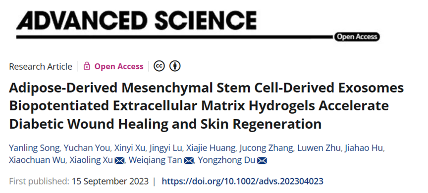 创面凝胶有什么作用浙江大学杜永忠／谈伟强《Adv.Sci.》：细胞外基质水凝胶，可促进糖尿病创面愈合和皮肤再生！-上海聚慕医疗器械有限公司