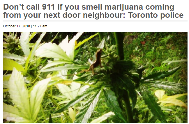 引以为戒 三名中国留学生北美留学时染上毒瘾 回国后在家中被捕