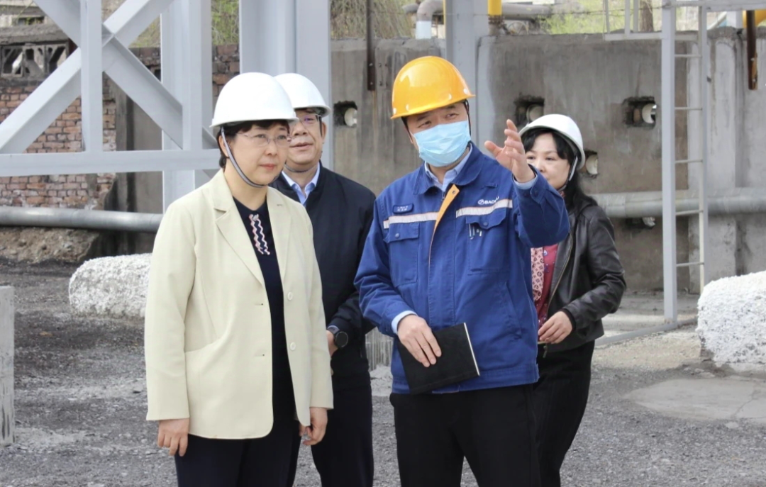 经开区人大代表调研八钢 肯定“八钢蓝”背后的国企担当与社会责任(图4)