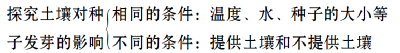 老百晓小学语文西师大版第三册 教案下载_老百晓小学语文s版_老百晓小学语文在线苏教版