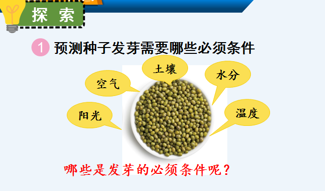 老百晓小学语文s版_老百晓小学语文西师大版第三册 教案下载_老百晓小学语文在线苏教版