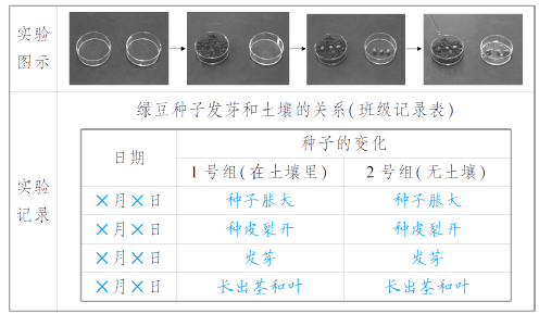 老百晓小学语文西师大版第三册 教案下载_老百晓小学语文s版_老百晓小学语文在线苏教版