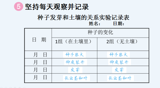 老百晓小学语文s版_老百晓小学语文西师大版第三册 教案下载_老百晓小学语文在线苏教版