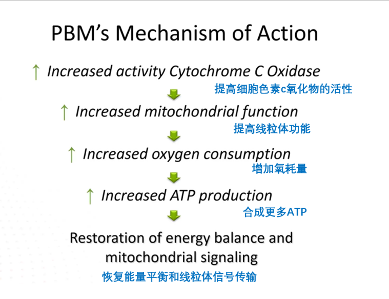 激光理疗有什么作用高能量激光疗法丨理疗技术的里程碑，深度疼痛的希望之光_https://www.jmylbn.com_新闻资讯_第7张