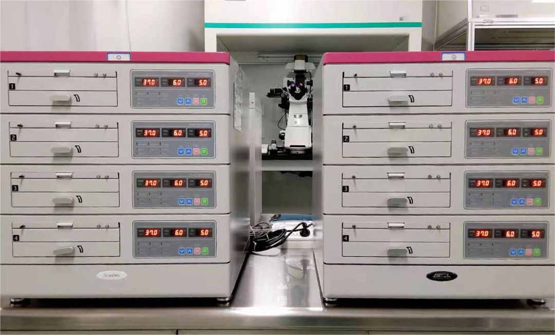 什么是婴儿培养箱开眼界！在这里胚胎宝宝生来就住上了“豪华单间”！_https://www.jmylbn.com_新闻资讯_第2张