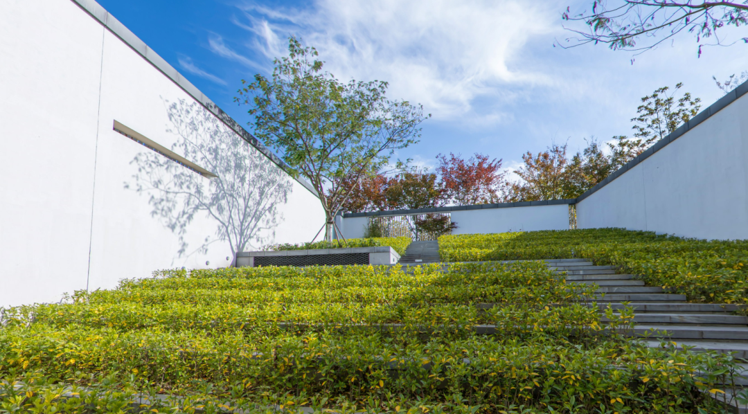 建筑之美｜融合地域文化 打造最美公共空间(图2)