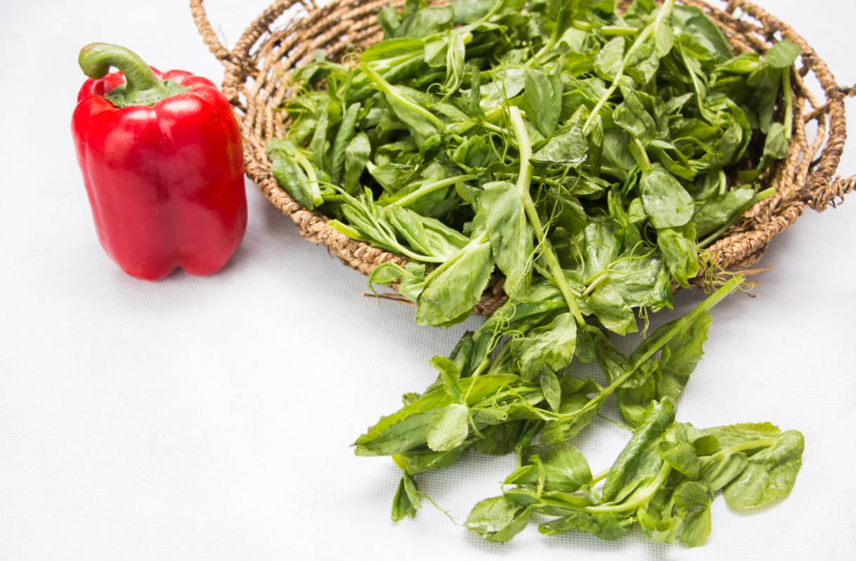 豌豆头 摄于南京涵月楼首丽斯酒店