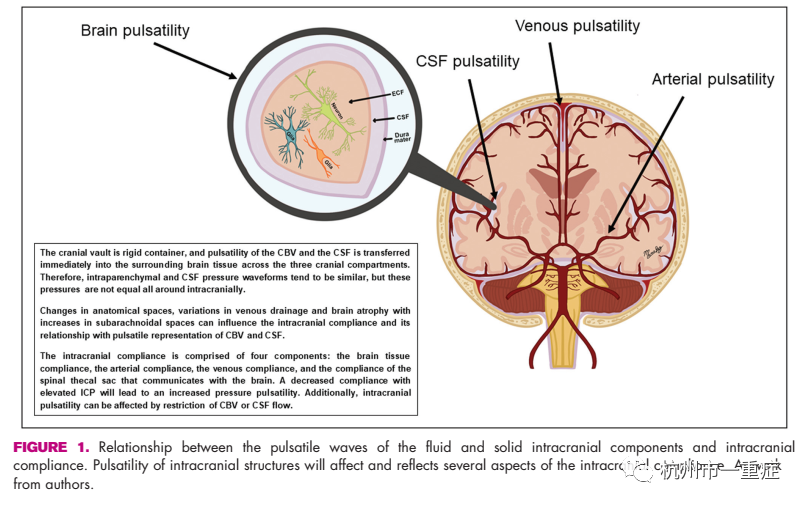 颅内压管理:从指南走出来(颅内间隔综合征)_医学界-助力医生临床决策