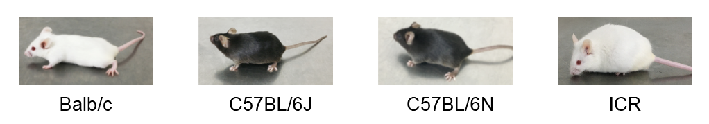 誉见 • 新质生产力丨明迅生物