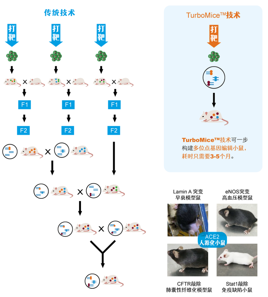 誉见 • 新质生产力丨明迅生物