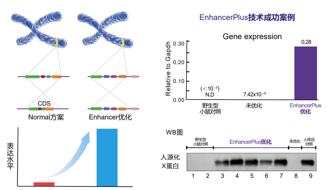 誉见 • 新质生产力丨明迅生物