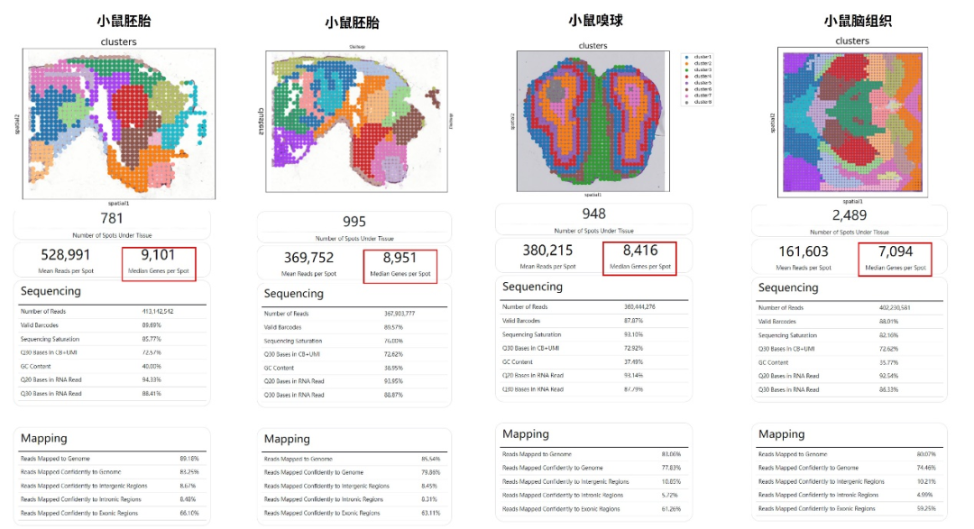 誉见•新质生产力丨德运康瑞