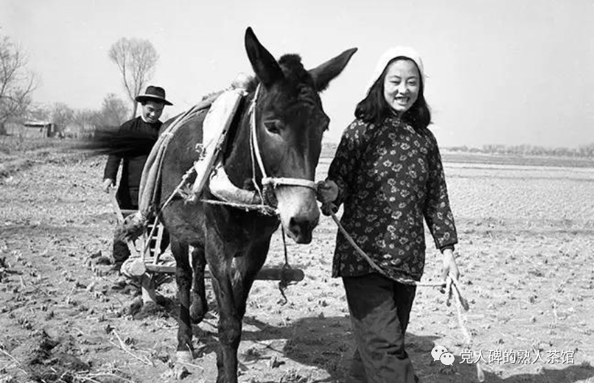 解放妇女运动是男性提出来的_妇女解放_解放妇女劳动力